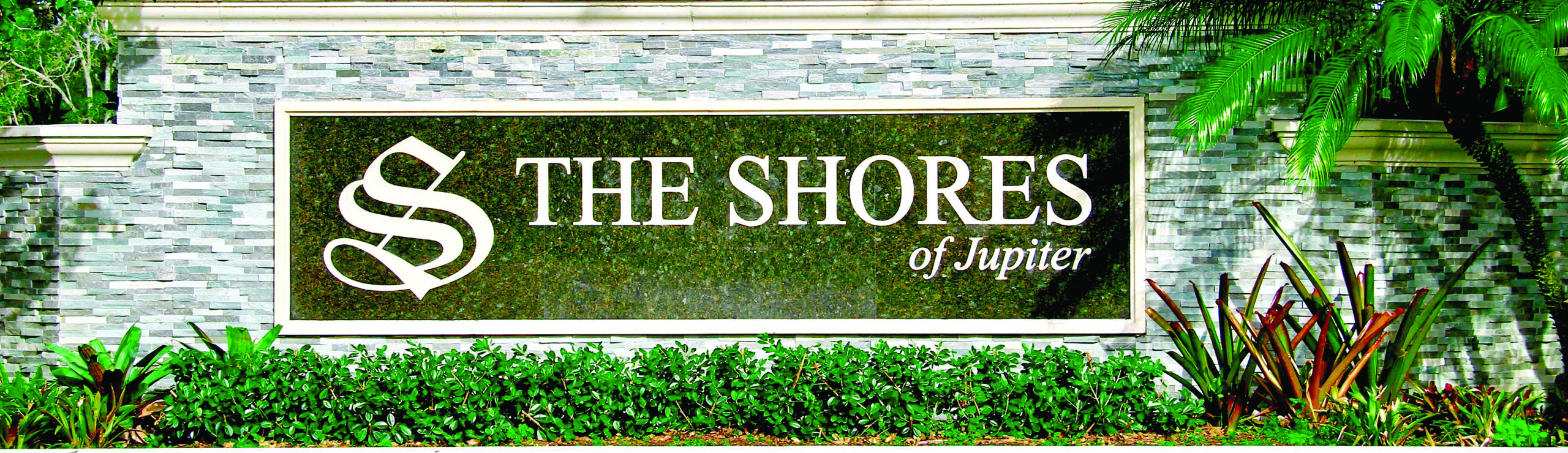 The Shores of Jupiter